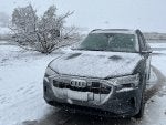 IMG_2927.jpeg